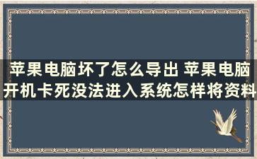 苹果电脑坏了怎么导出 苹果电脑开机卡死没法进入系统怎样将资料导出